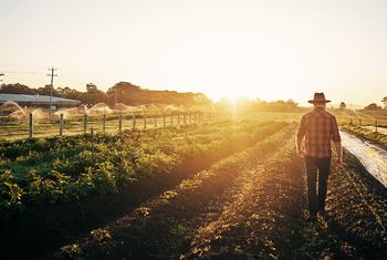 Food and Agriculture 1920x1080